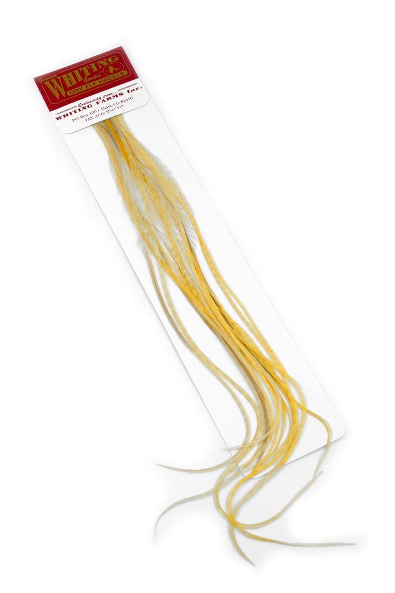 Whiting 100 Pk Size 16 Light Ginger view 1