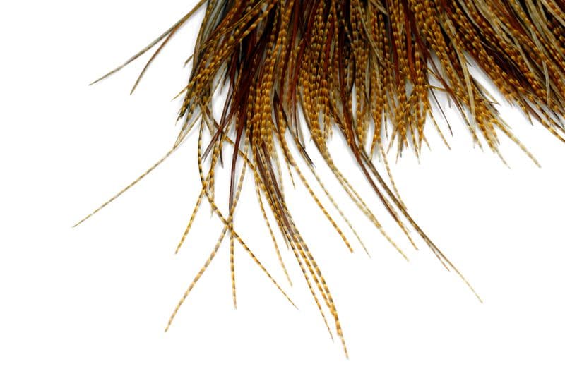 Whiting Pro Grade Midge Saddle Barred Dark Ginger view 4
