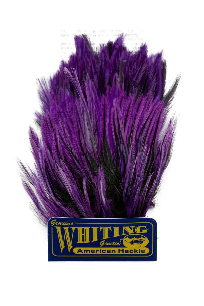 American Streamer Pack Black laced White dyed Purple view 4