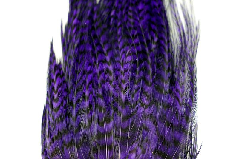 Whiting Bugger Pack Grizzly dyed Purple view 1