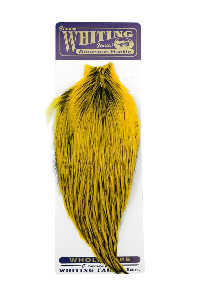American Rooster Cape BLW dyed Yellow view 3