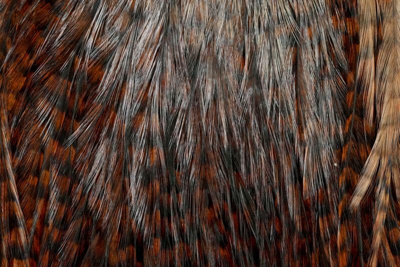 Coq de Leon Bronze Saddle Grizzly dyed Brown view 1