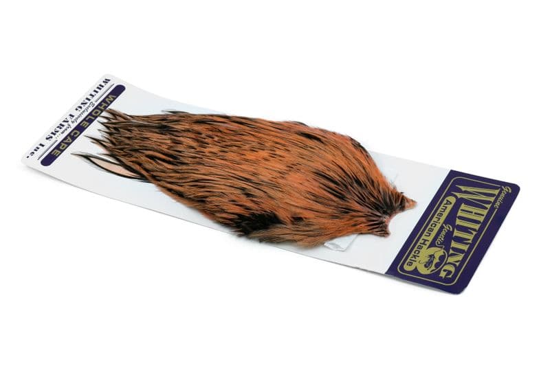 American Rooster Cape BLW dyed Salmon view 4