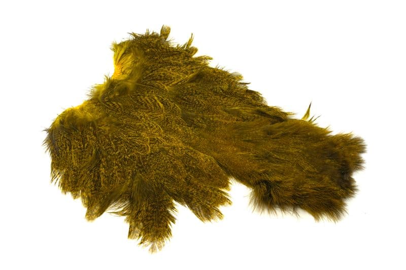 Coq De Leon Hen SH/C Speckled dyed Yellow view 4