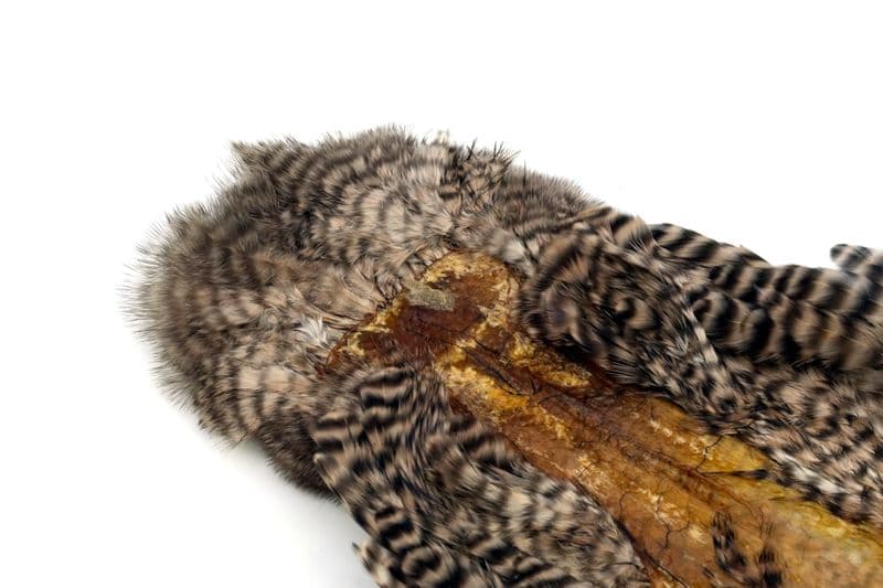 Whiting Rooster SH/C Grizzly dyed Tan view 1
