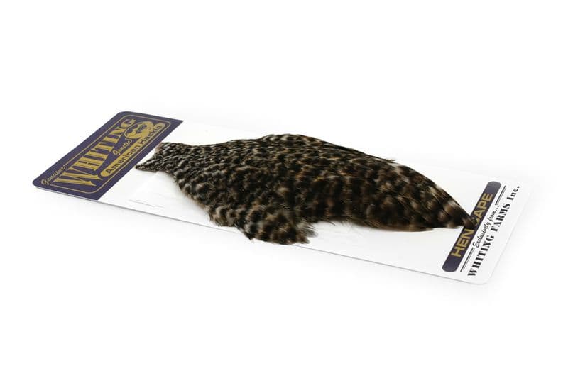 American Hen Cape Grizzly view 2