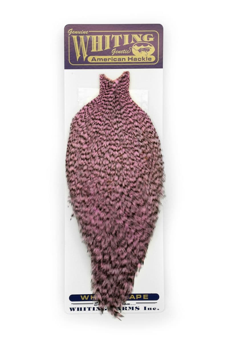 American Rooster Cape Grizzly dyed Shell Pink view 3