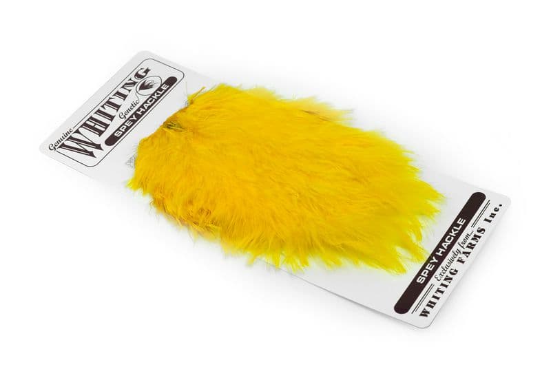 Spey Hackle Hen Saddle White dyed Yellow view 2
