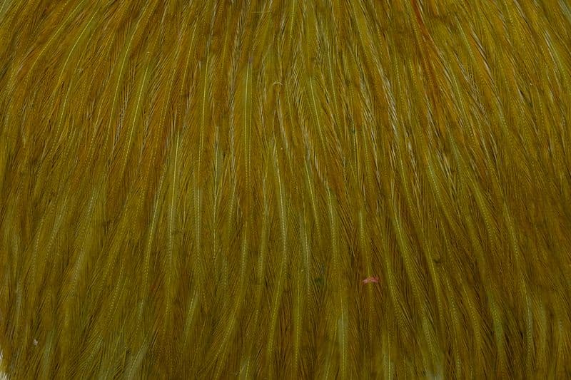 American Rooster Cape White dyed Dark Olive view 1