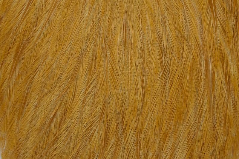 American Rooster Cape Medium Ginger