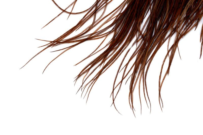 Whiting Commercial Saddle White dyed Brown view 4