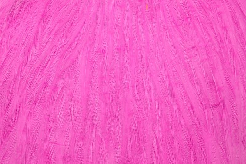 American Rooster Cape White dyed Pink view 1