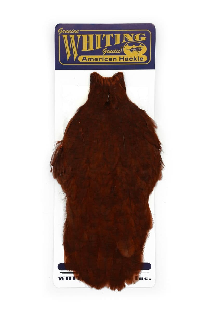 American Hen Cape White dyed Coachman Brown view 3