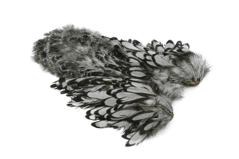 American Hen SH/C BLW dyed Medium Dun view 2