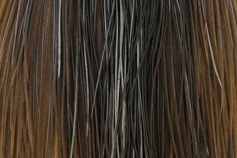 Hebert Bronze Cape Dark Brown Dun view 1