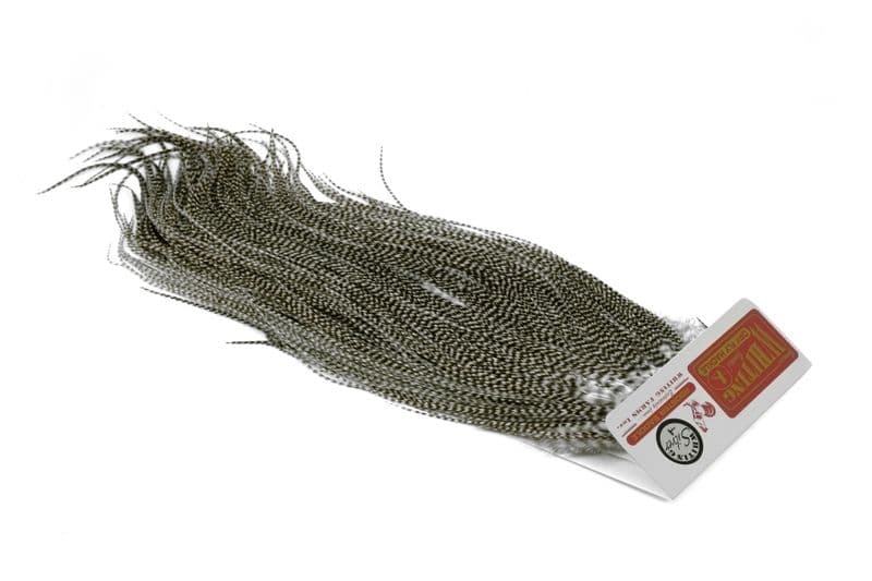 Whiting Silver Saddle Dun Grizzly view 2