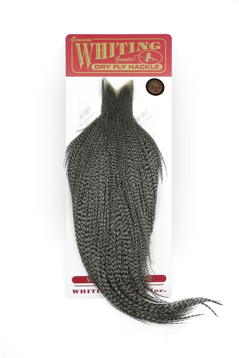 Whiting Bronze Cape Grizzly dyed Dun view 3