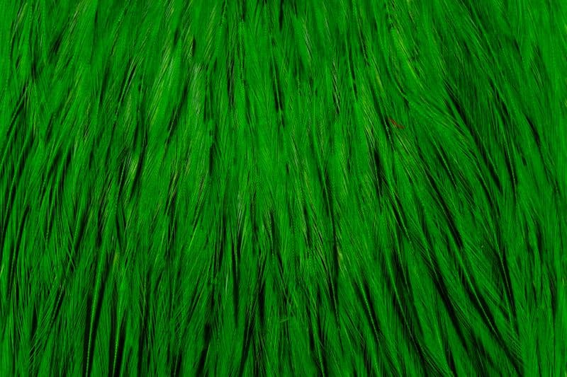American Rooster Cape BLW dyed Highlander Green view 1