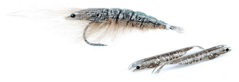 Shrimp Shell Skel Cmpct Tan/BrnLnDot view 3