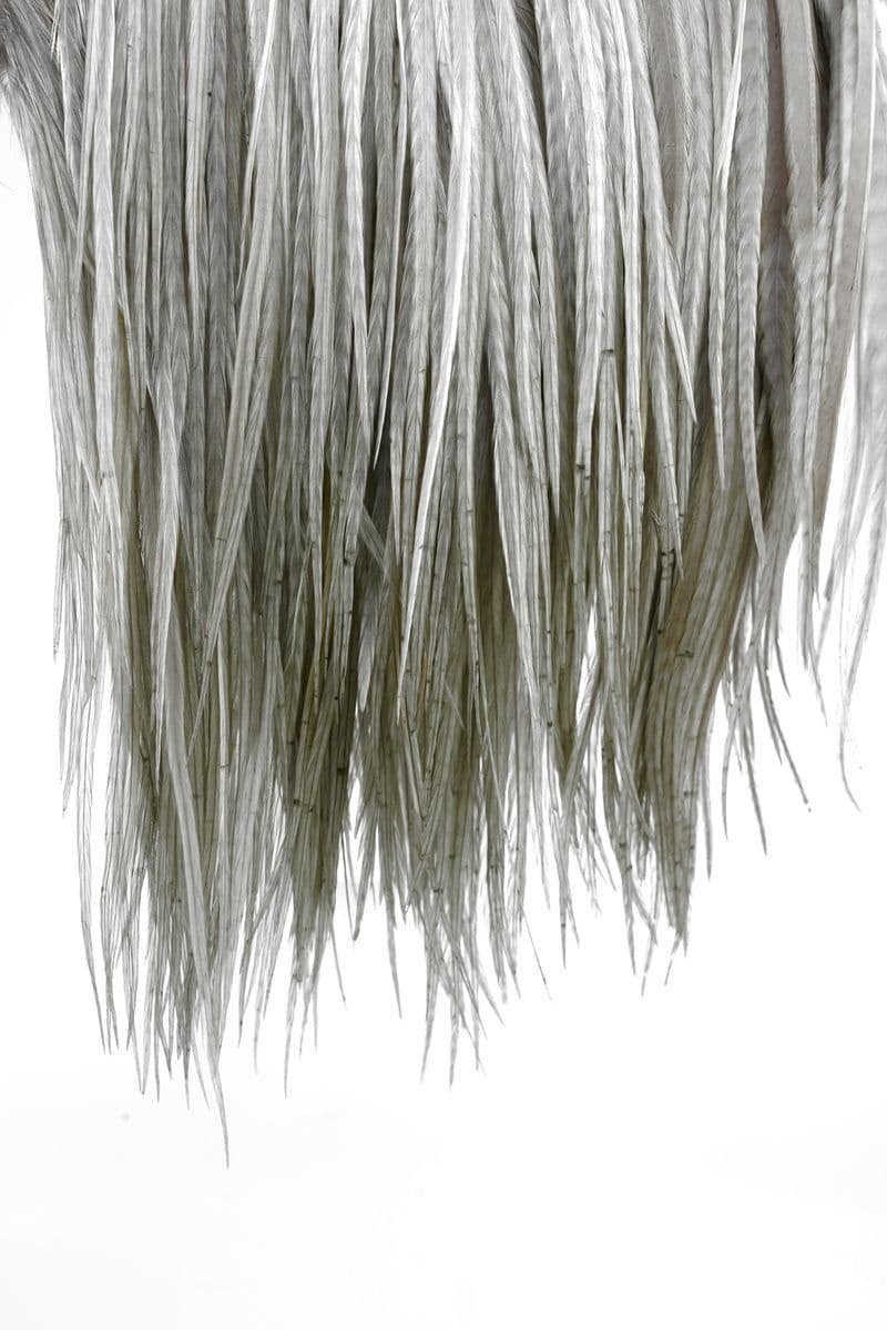 Eurohackle Saddle White dyed Medium Dun view 4