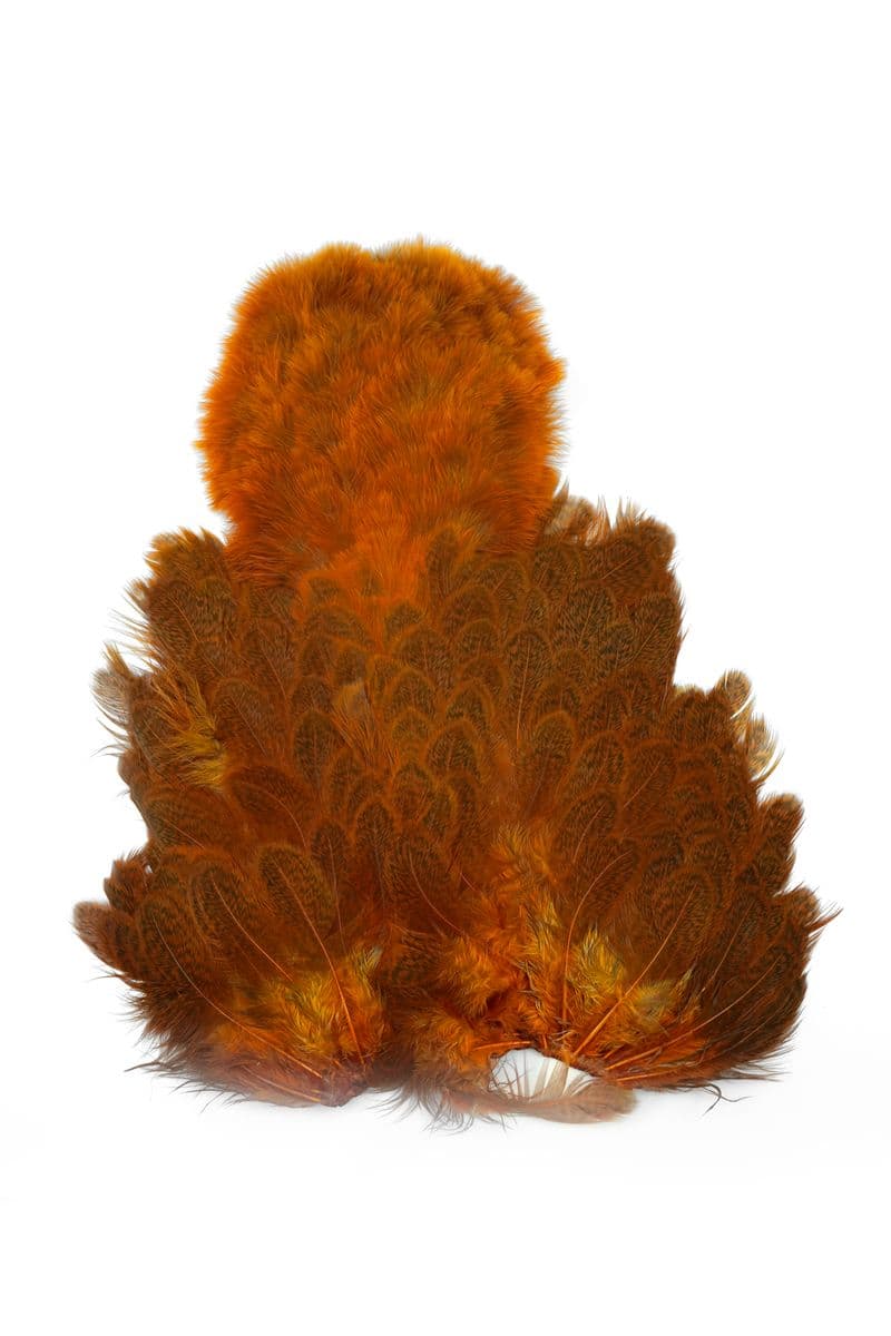 Brahma Hen SH/C Speckled dyed Burnt Orange view 3