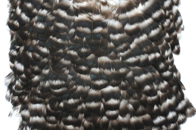 American Hen Saddle Grizzly view 1