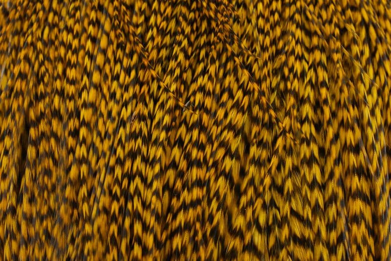 Whiting Silver Cape Grizzly dyed Golden Olive view 1