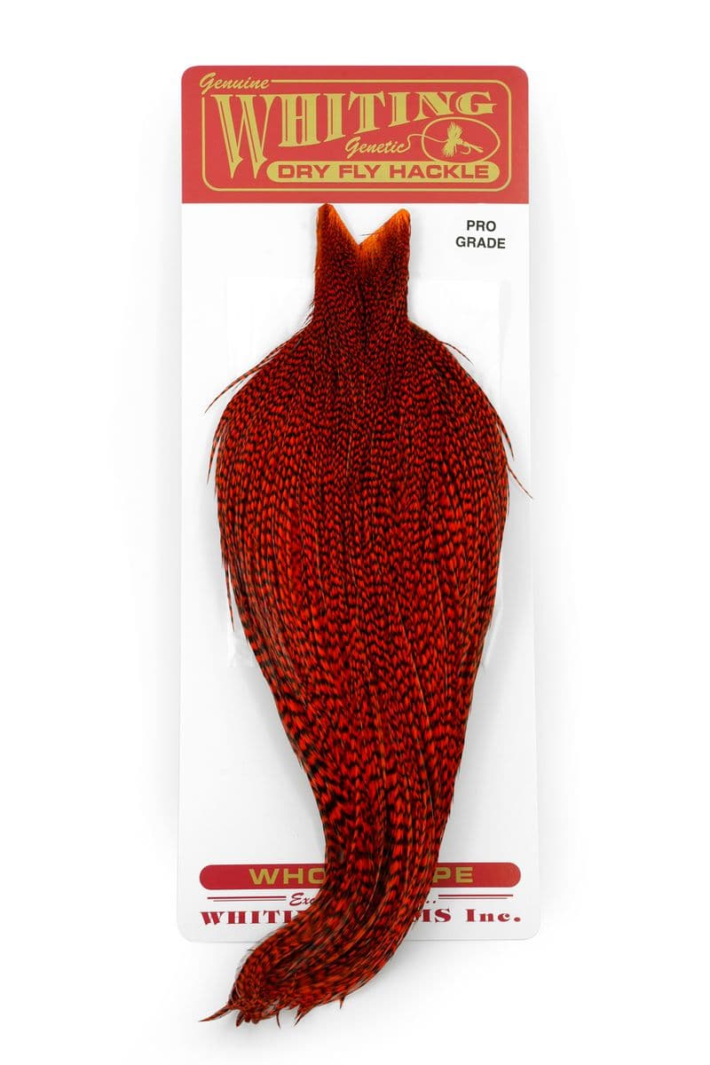 Whiting Pro Grade Cape Grizzly dyed Orange view 3