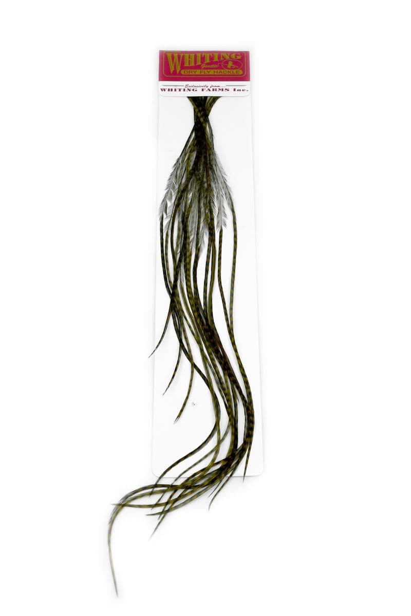 Whiting 100 Pk Size 16 Grizzly dyed Dark Olive view 2