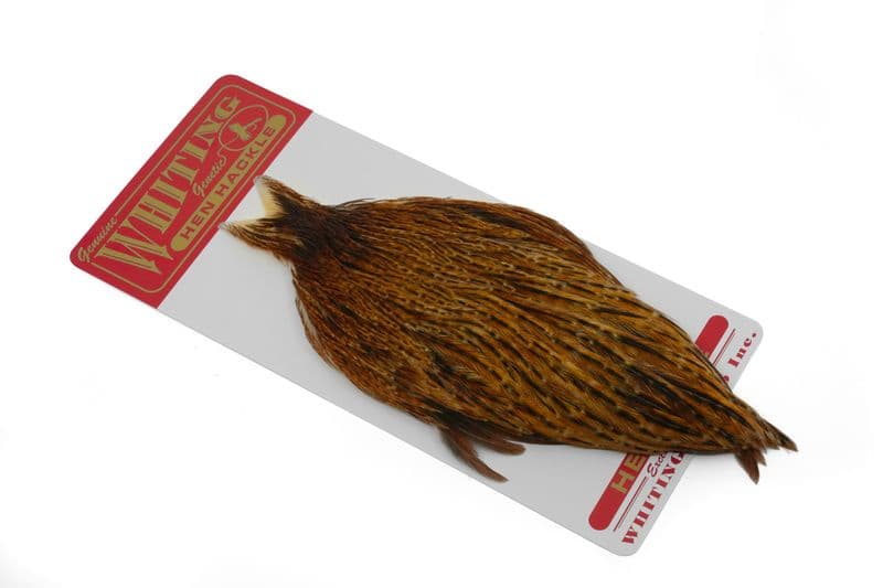 Whiting Hen Cape Barred Dark Ginger view 1