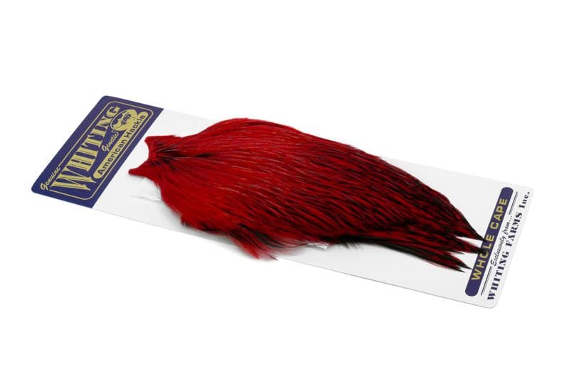 American Rooster Cape BLW dyed Red view 2