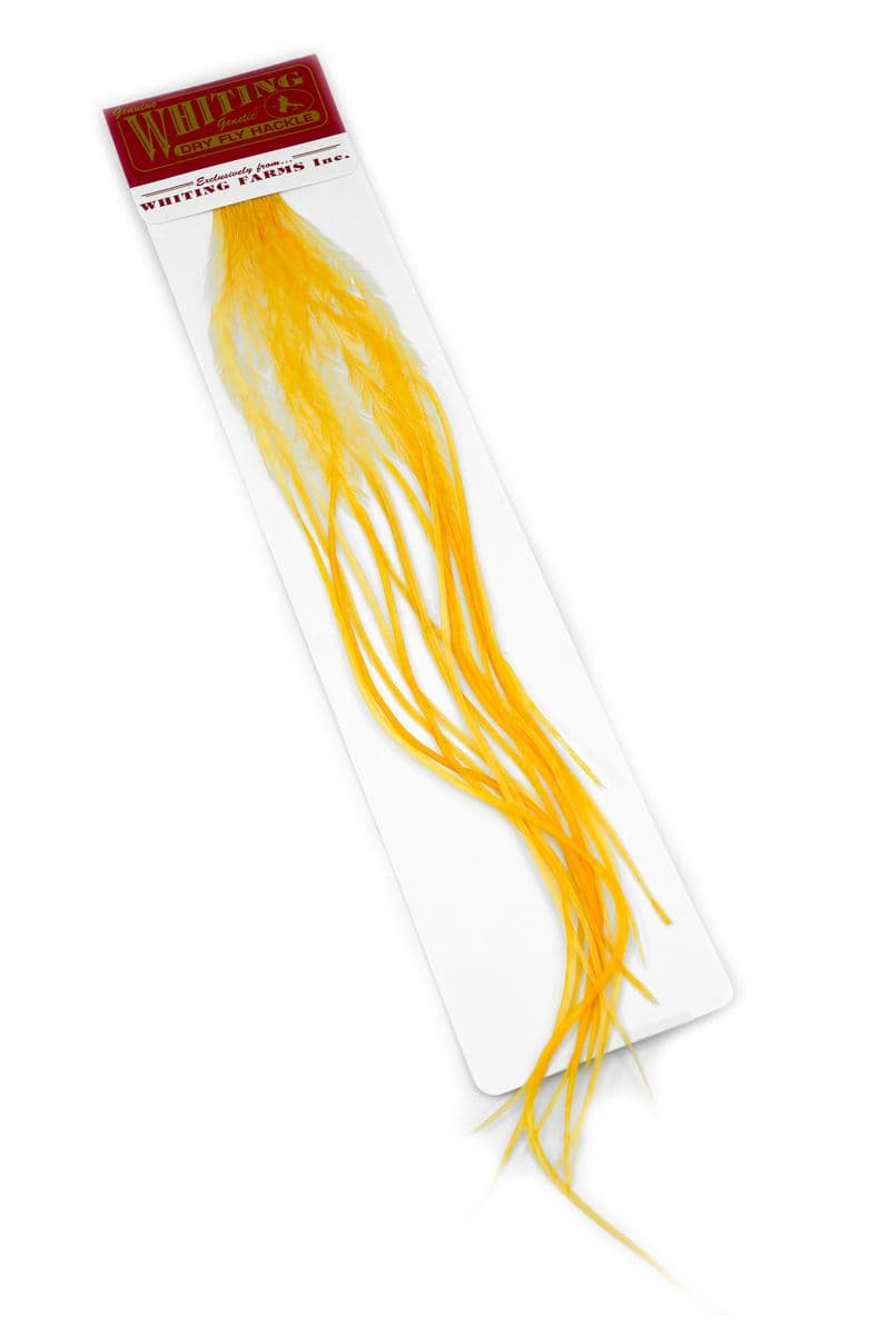 Whiting 100 Pk Size 16 White dyed Golden Straw view 1