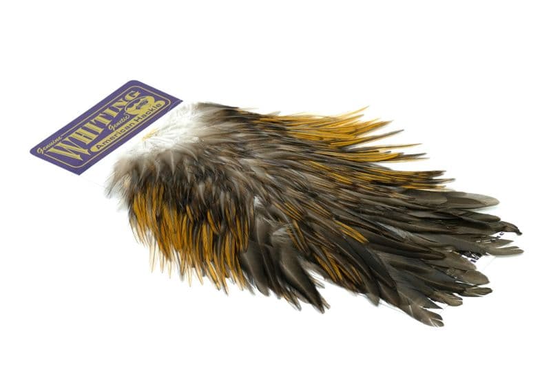 American Rooster Saddle Unique Variant view 2