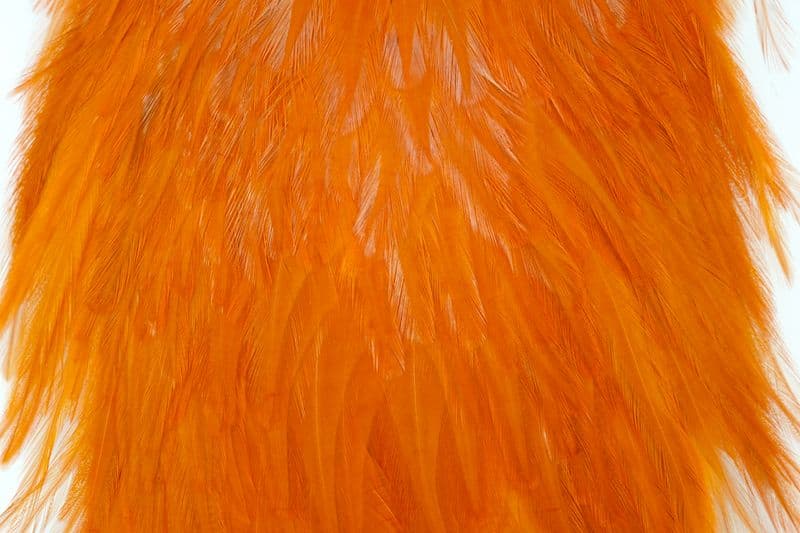 American Rooster Saddle White dyed Burnt Orange view 1