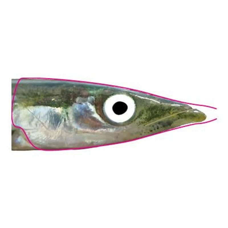 Sandeel Foils Sand Eel view 3