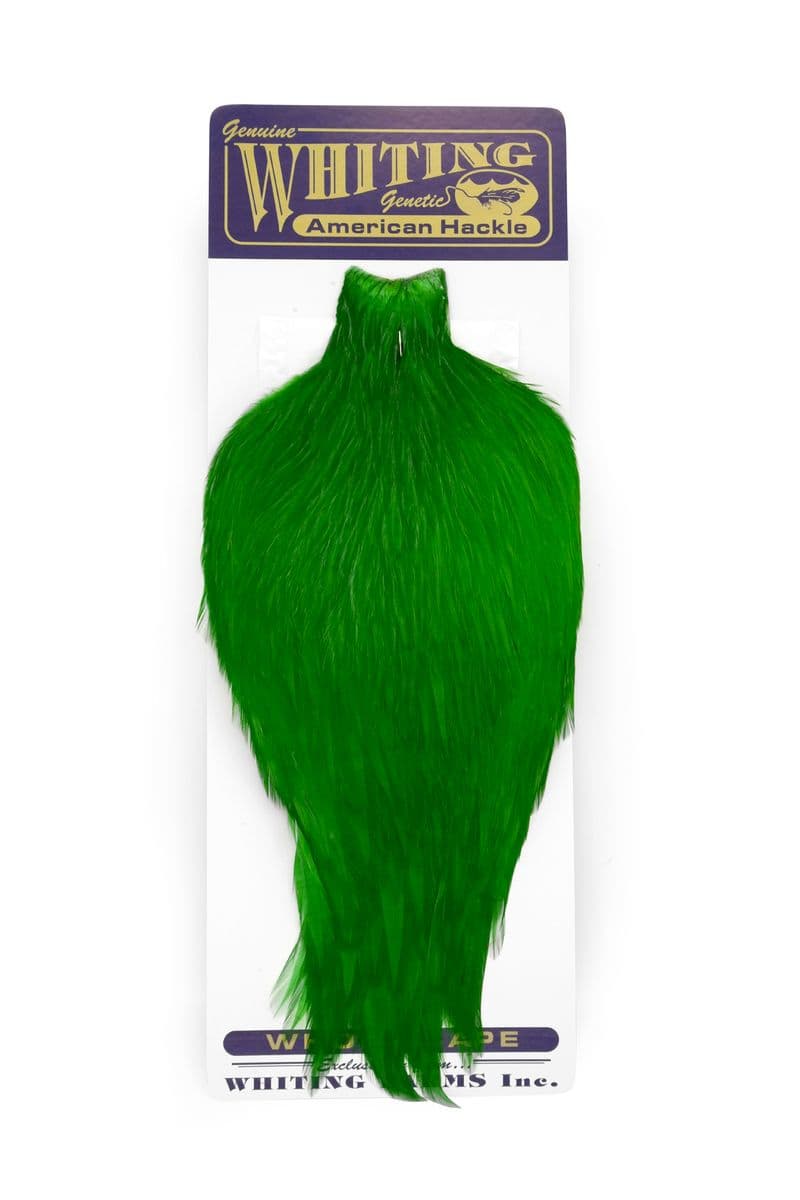 American Rooster Cape White dyed Highlander Green view 3