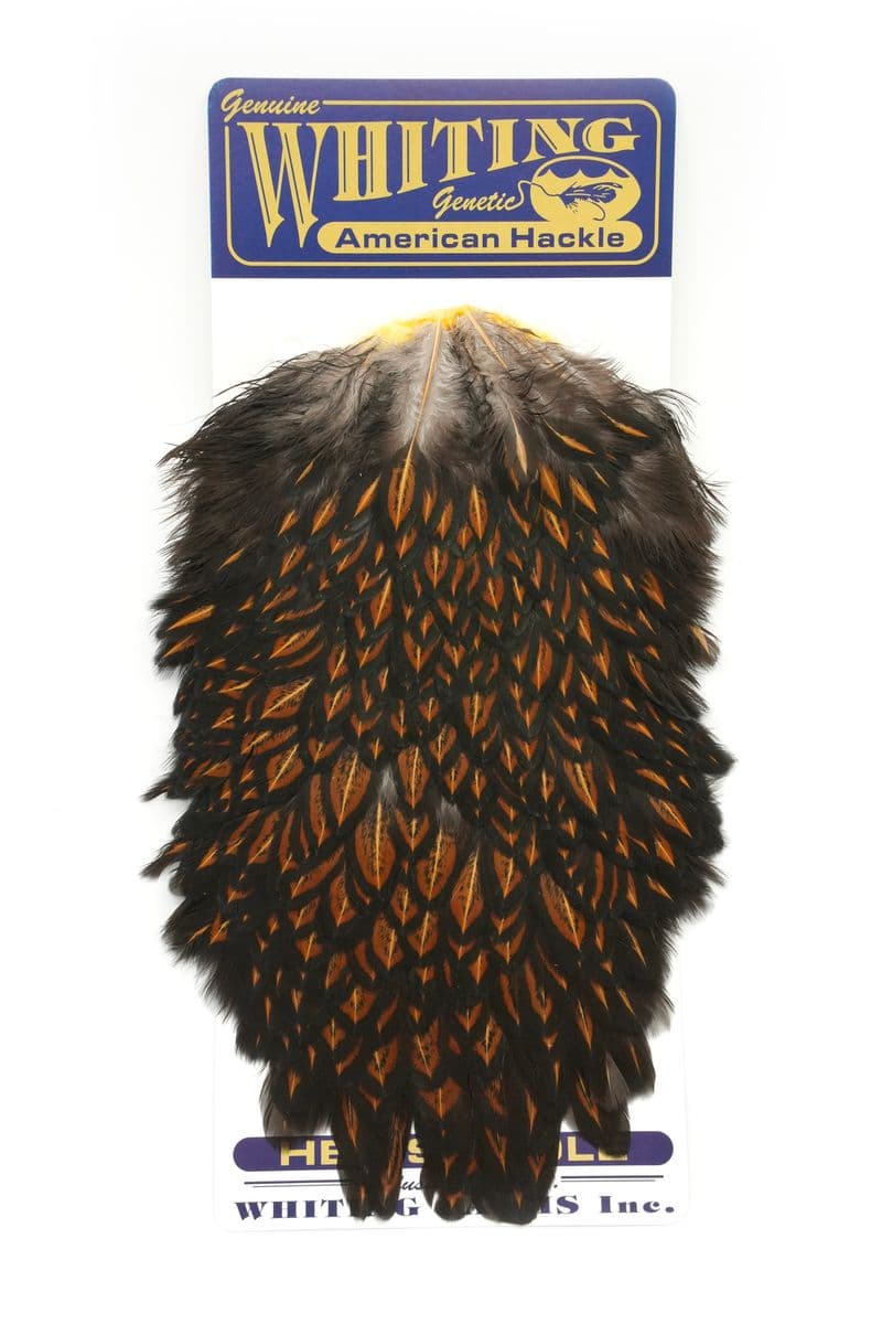American Hen Saddle Black laced Brown view 3