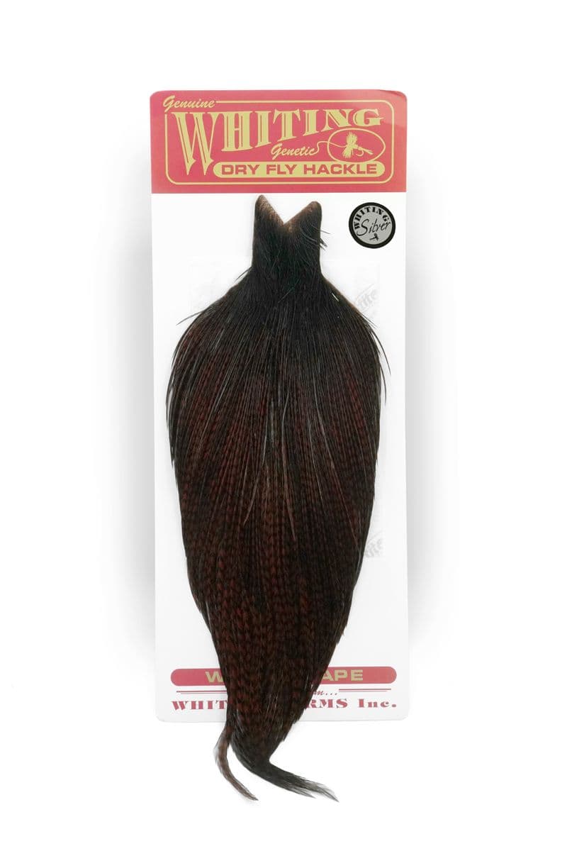 Whiting Silver Cape Grizzly dyed Coachman Brown view 3