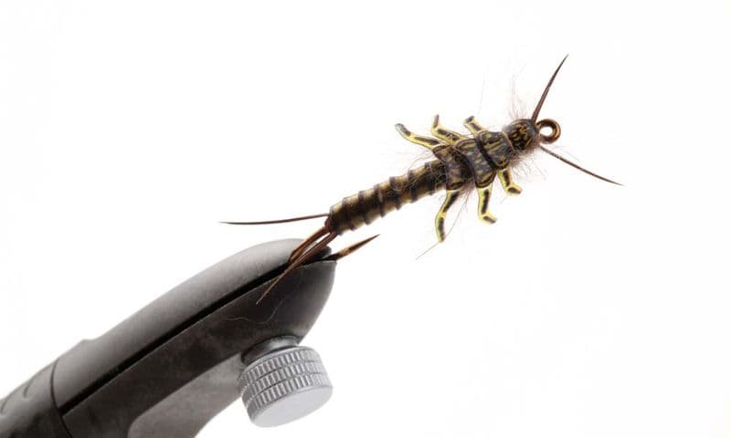 Stonefly Kits Brown view 4