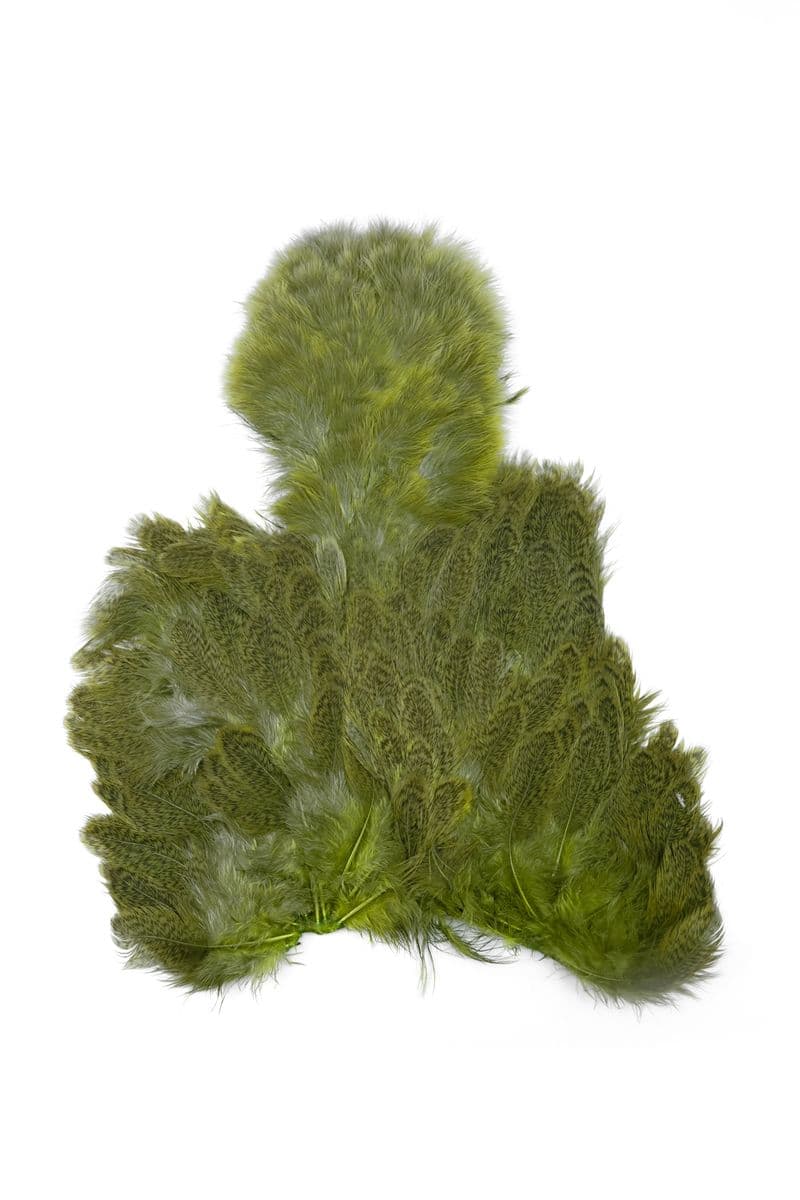 Brahma Hen SH/C Speckled dyed Olive view 3