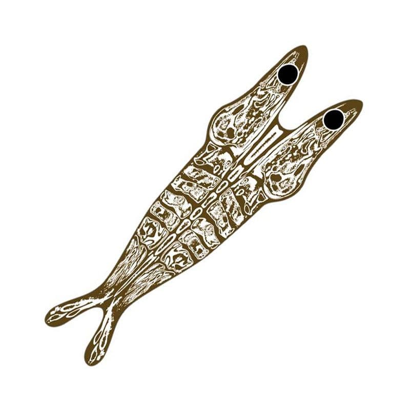 Shrimp Shell Skeletor Brn/Clear view 2