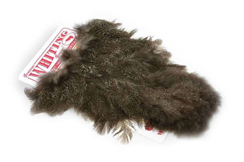 Coq De Leon Hen SH/C Natural Speckled view 2