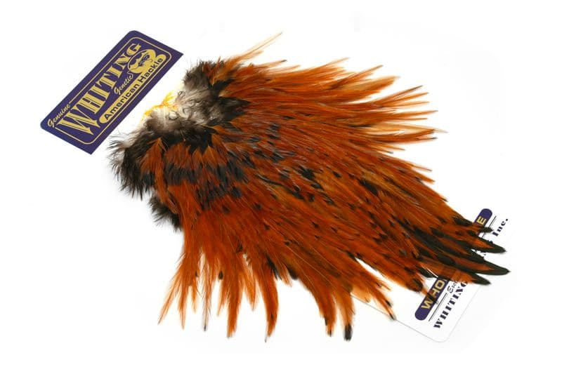American Rooster Saddle Brown view 2