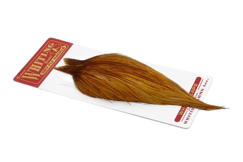 Whiting Commercial Cape Medium Ginger view 2