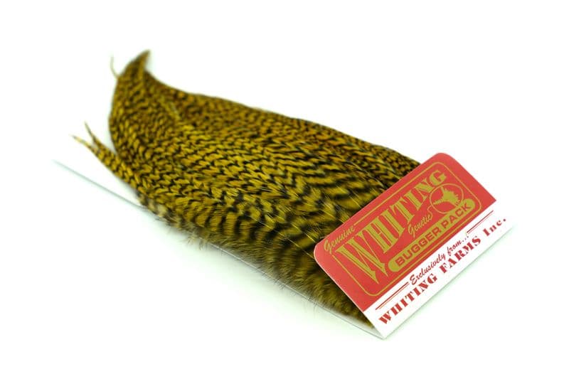 Whiting Bugger Pack Grizzly dyed Golden Olive view 2