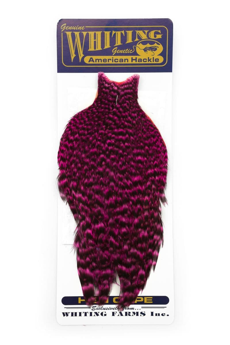 American Hen Cape Grizzly dyed Pink view 3