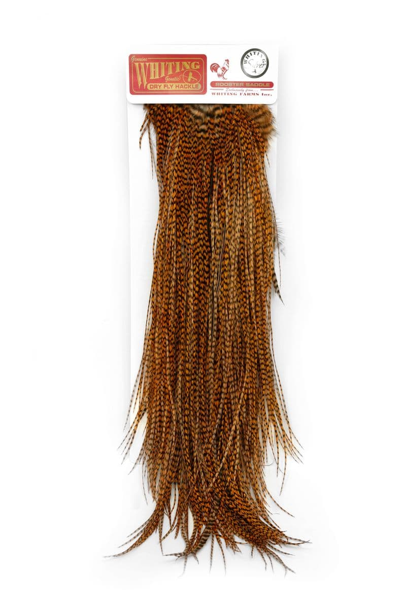 Whiting Silver Saddle Grizzly dyed Golden Brown view 4