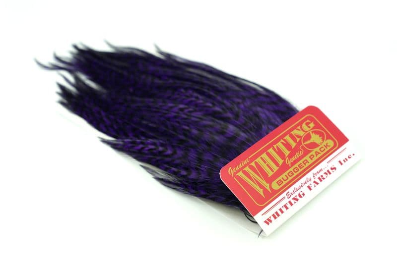 Whiting Bugger Pack Grizzly dyed Purple view 2