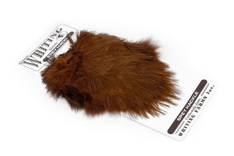 Spey Hackle Hen Saddle White dyed Brown view 2