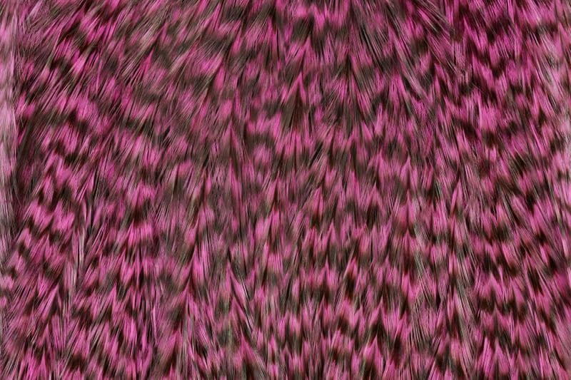 Coq de Leon Bronze Saddle Grizzly dyed Shell Pink view 1